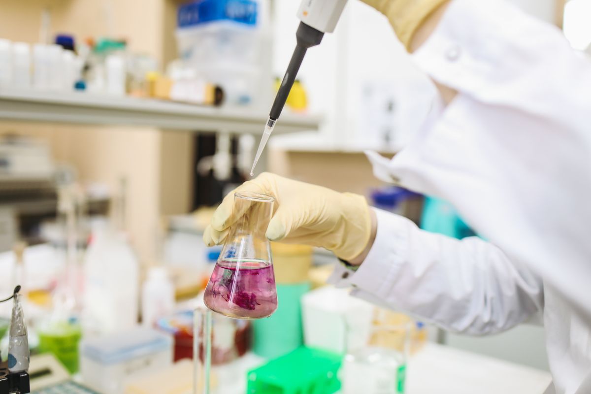 Processo em laboratório — imagem ilustrativa